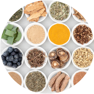 What are Adaptogens and Why Do We Need Them?
